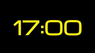 17 Minute Countdown Alarm & Timer / BEEPS AT END