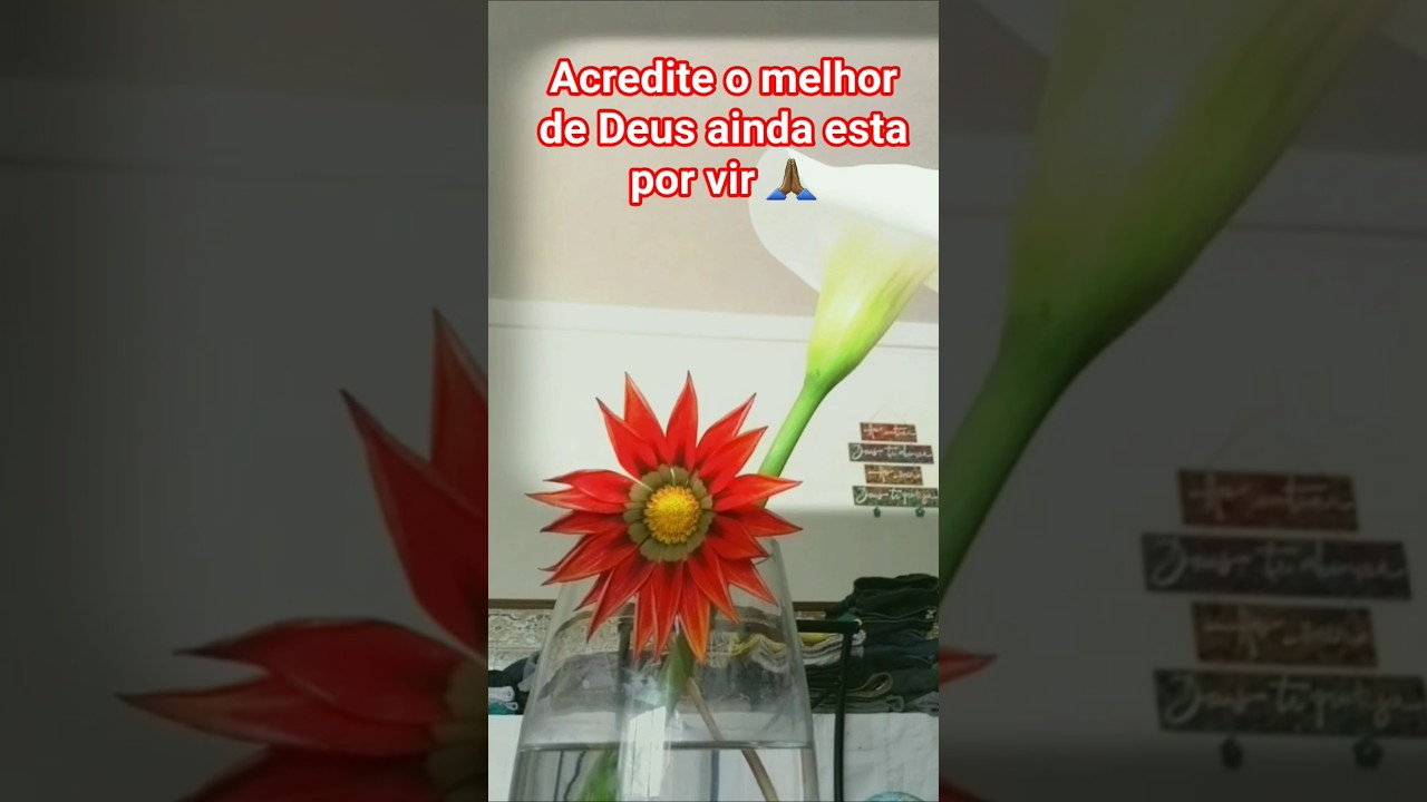 O melhor de Deus está por vir #cortella #deus #reflexão #motivação #shorts