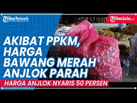 Harga Bawang Merah