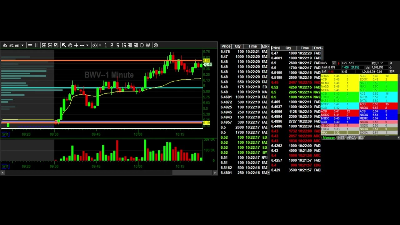 Tape BWV multiday runner stuff - 11 May 2022