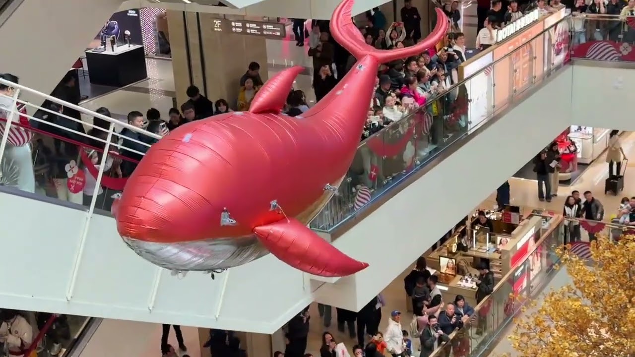 西安商场里新春视觉盛宴：成对仿生飞鱼遨游，浪漫喜庆，年年有鱼 西安小寨赛格，成对仿生飞鱼在高大漂亮的中庭遨游，营造出浪漫喜庆，年年有鱼的马年新春氛围。