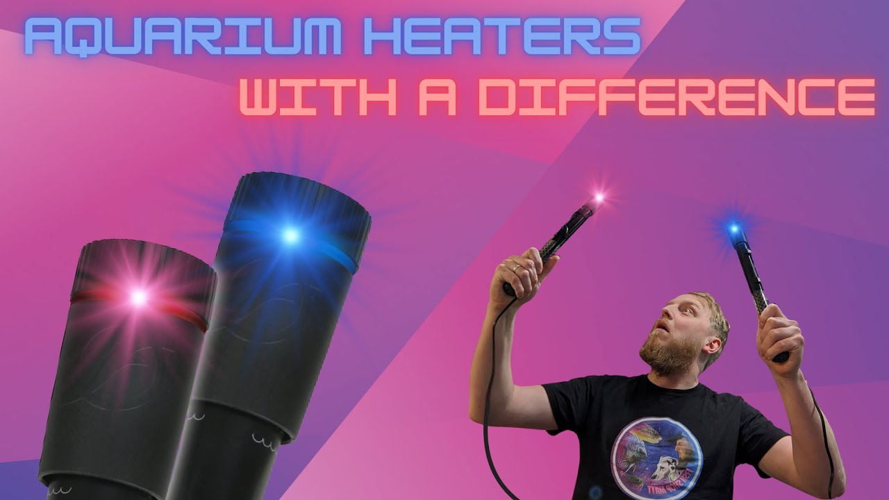 Fluval T series aquarium heater review! YouTube