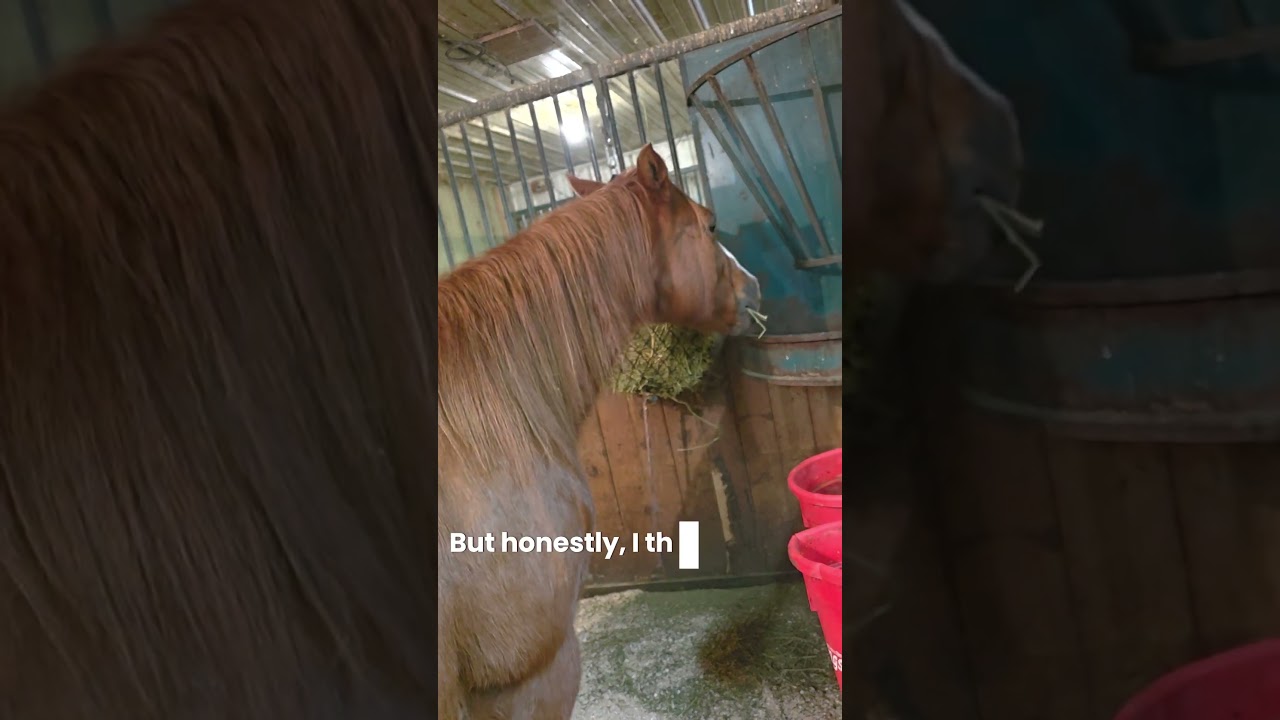 Maddy is on the naughty list 🫢 