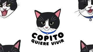 Dosis de amor diario a Copito 😻 by Copito Quiere Vivir 479 views 4 years ago 2 minutes, 1 second