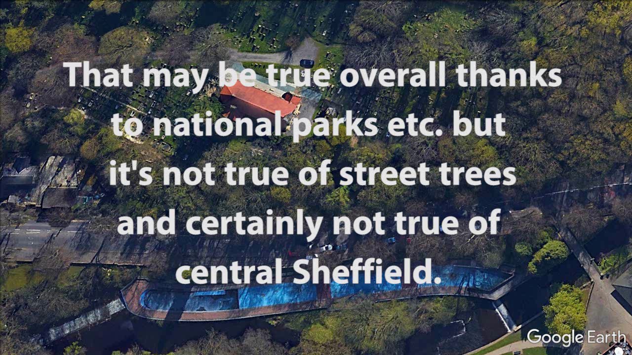Sheffield Street Trees (Work in progress)