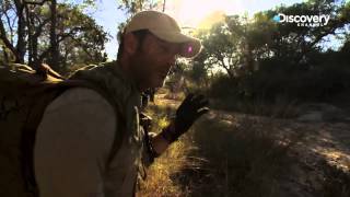 Ep02 First Wild Animal Encounter | Manhunt