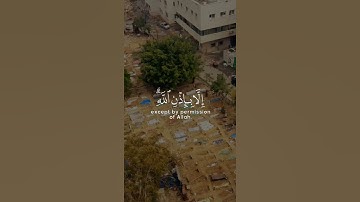 تلاوة بصوت القارئ رعد الكردي
