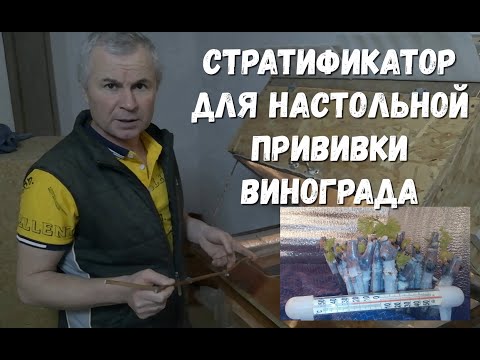 Video: Үстүнкү кабатымдын кычыруусун кантип токтото алам?