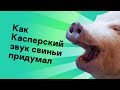 Как Касперский звук свиньи придумал