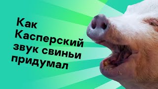 Как Касперский звук свиньи придумал