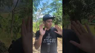 Midday Consumption Of Cingcaw Ice Cream Is Great countryside village Atmosphere