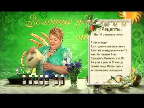 Цілитель Софія Нагорняк - Лікувальні властивості волошки синьої