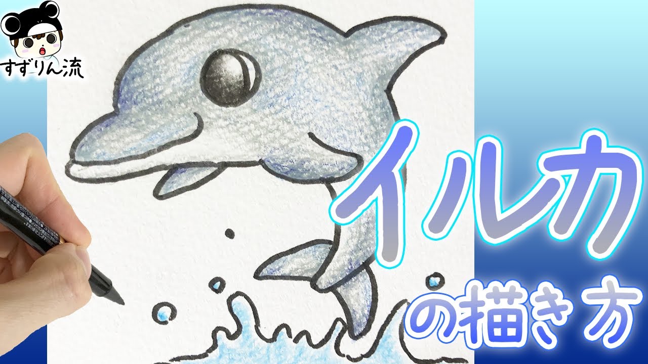 海の生き物イラスト イルカの描き方 Youtube