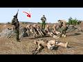 🔴Horrifying! The Sniper Risked His Life to Infiltrate Enemy Territory, 22 Captured Soldiers Rescued