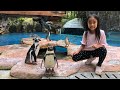 Homeschooling Zara Cute | Kasih Makan sambil Belajar Mengenal Hewan Pinguin | Humboldt Pinguin
