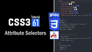 61#Attribute Selectors | CSS Attribute Selectors