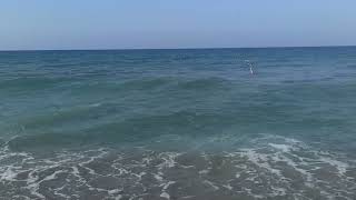видео: Miarosa Konakli Garden. Море. Пляж. Большие волны. 16.06.2024. 8 утра.В море - камни,можно поранится картинка: Miarosa Konakli Garden. Море. Пляж. Большие волны. 16.06.2024. 8 утра.В море - камни,можно поранится