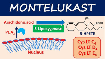 Montelukast - Mechanism, side effects and uses