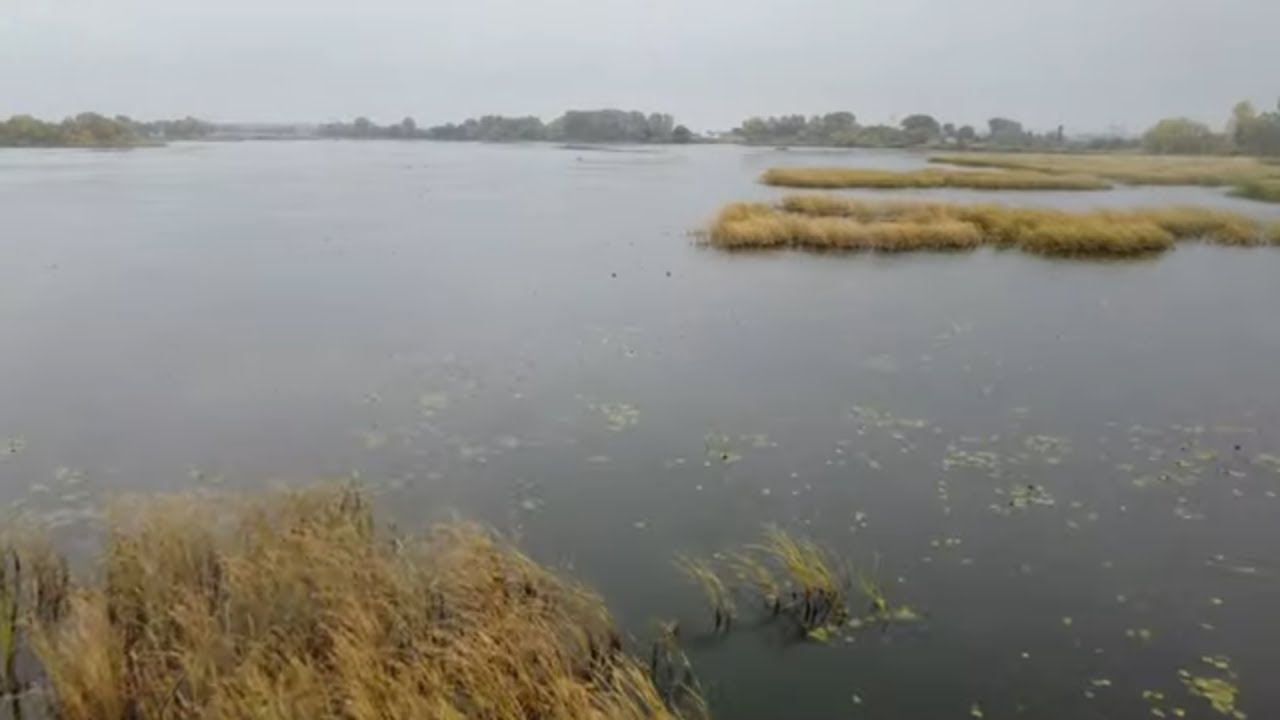 Ловля щуки в жовтні на Млинівському водосховищі