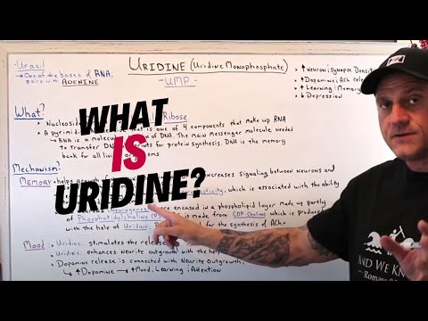 Video: No kurienes nāk uridīns?