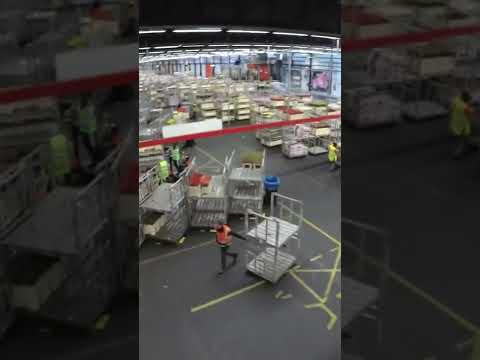 #Shorts Aalsmeer Flower Auction, Netherlands