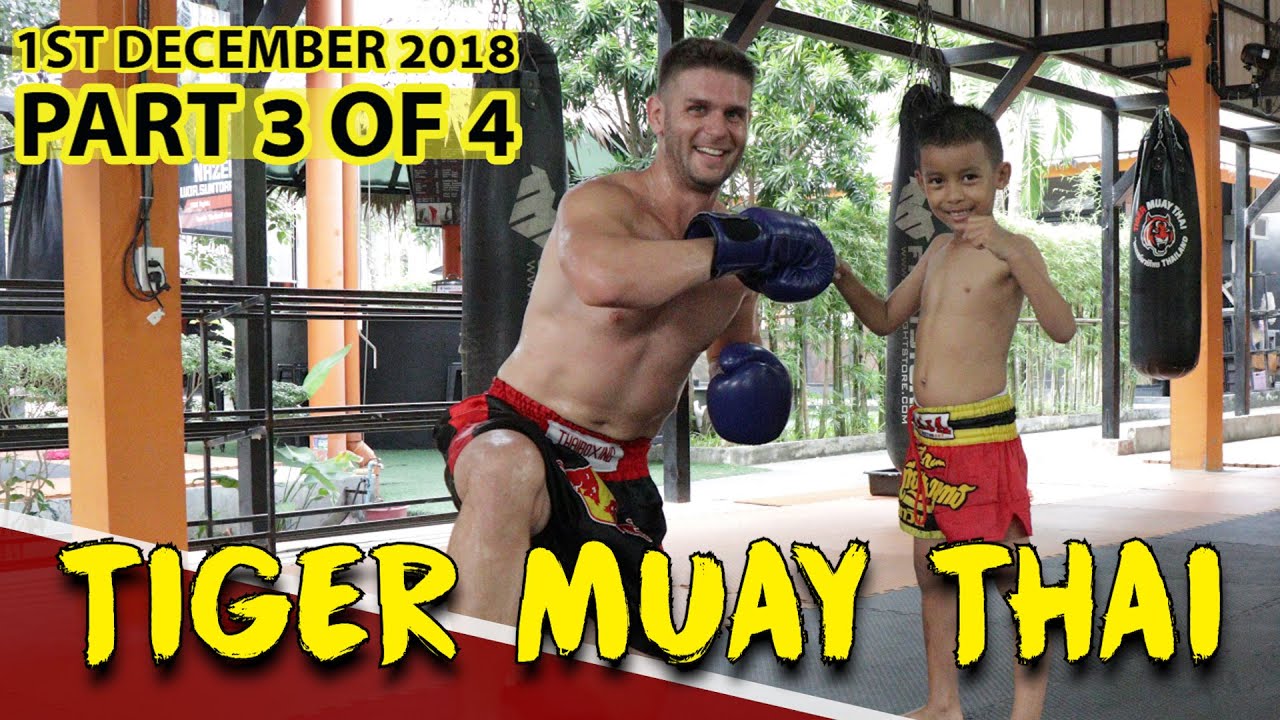 Looking to train some Muay Thai in Thailand Phuket? — Steemit