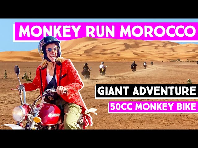 Les Monkey Runs, ces grandes traversées en mini-moto !