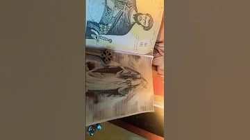 ترنيمة امنا يا عدرا ترانيم الكنيسة الارثوذكسية الكنيسة القبطية الارثوذكس ترانيم العدرا 