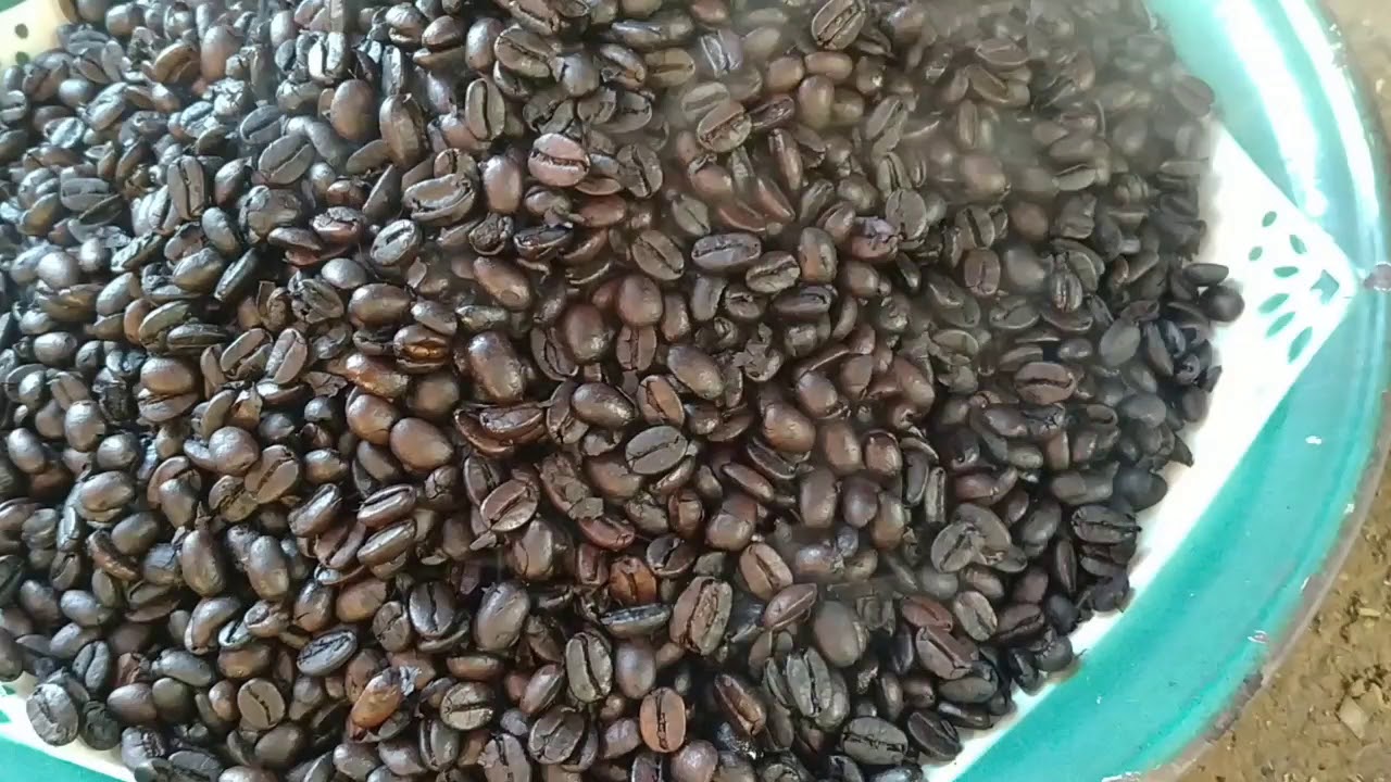 KOPI MANGGARAI 