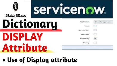 ServiceNow Dictionary DISPLAY attribute || #servicenow #interview