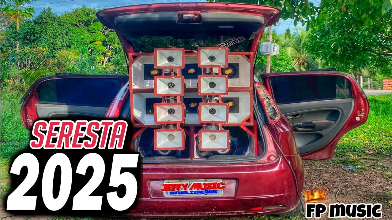 SERESTA SELECIONADA PRA TOMAR CANA E SOFRER- AS MELHORES MAIS TOCADAS 2025