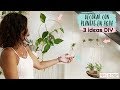 Decorar con plantas en agua - 3 ideas DIY & tips