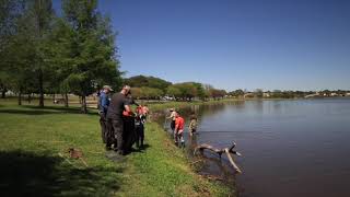 Turtle! Bachman Lake Cleanup April 14, 2019