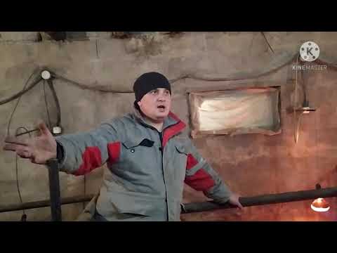 Опорос Двух Свиноматок