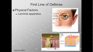 Microbiology Chapter 16 Part A