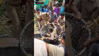 கயிறு வழுக்கி கிணற்றின் உள்ளே விழுந்த தொழிலாளி