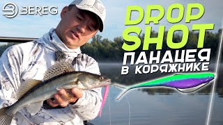 ДРОПШОТ панацея в коряжнике? Как выставить лодку по эхолоту?