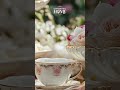 Tea & Roses • Quintessential Home