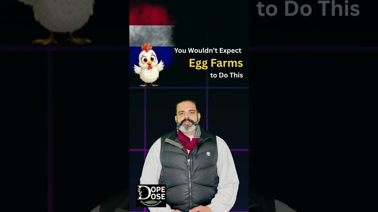 Did the Hen Really Come Before the Egg?