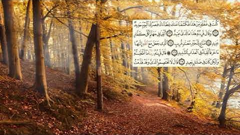 519-page - سعد الغامدي - -سورة - ق QAF - 50