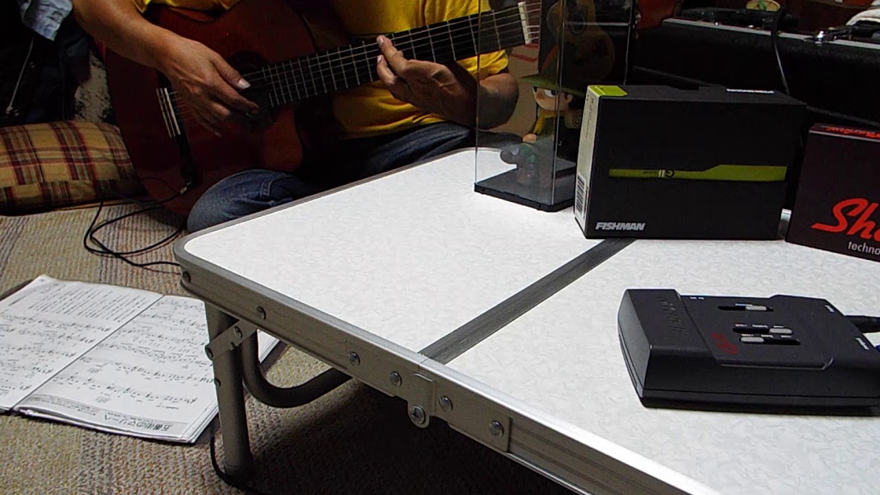 Pickup SHADOW SH 2000＋Preamp Fishman G-Ⅱ＋Guitar amp PEAVEY / ENVOY 110 ...