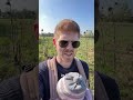 In einem Feld voller verblühter Sonnenblumen, aber mit jedem Ende wächst ein neuer Anfang.