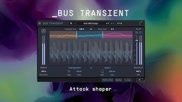 Bus TRANSIENT | Attack shaper | ARTURIA