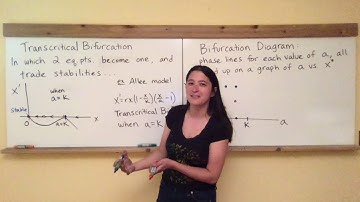 Ecology Dynamics Section 3.6: Transcritical Bifucation