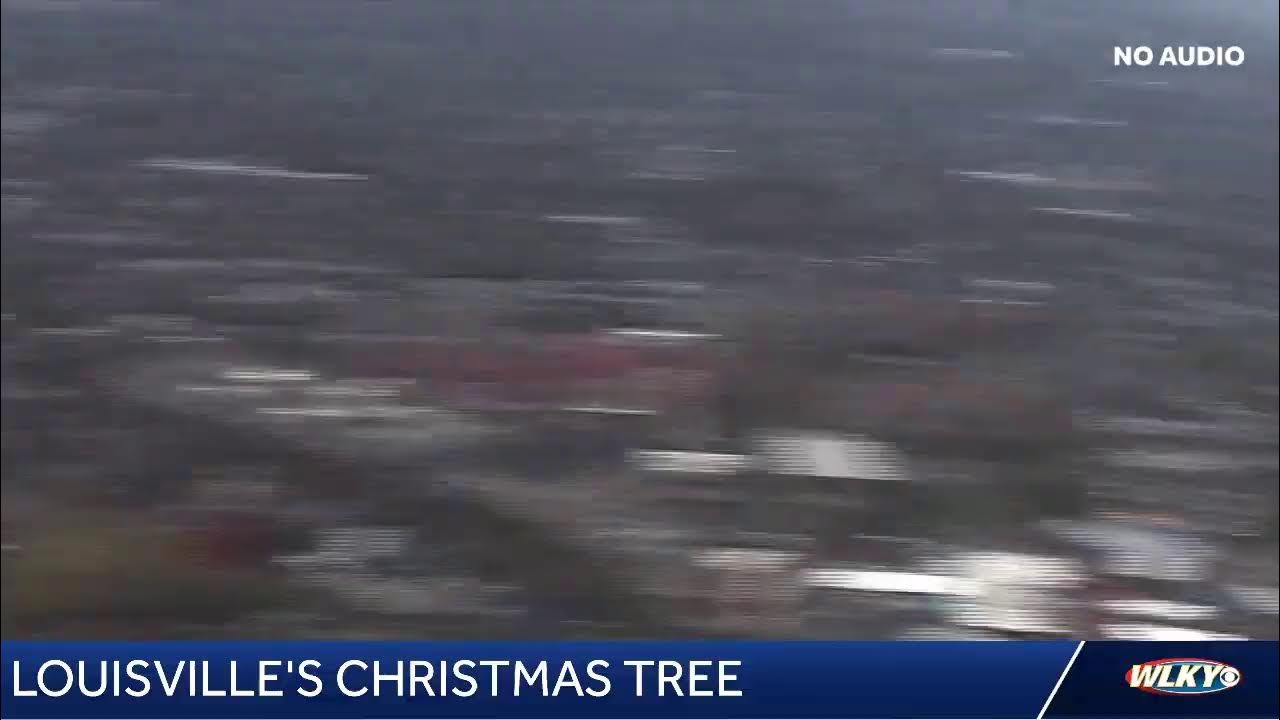 Louisville Christmas tree heading downtown YouTube