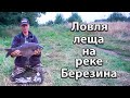 Ловля леща на реке Березина. Рыбалка в Беларуси. Фидерная ловля на реке.