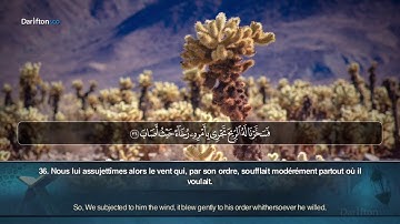 Sourate Sad - Said Muhammad سورة ص سعيد محمد