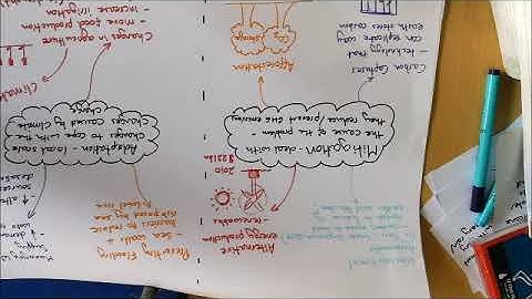 Mitigation and adaptation