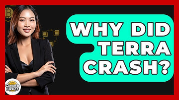 Why Did Terra Crash? - CryptoBasics360.com