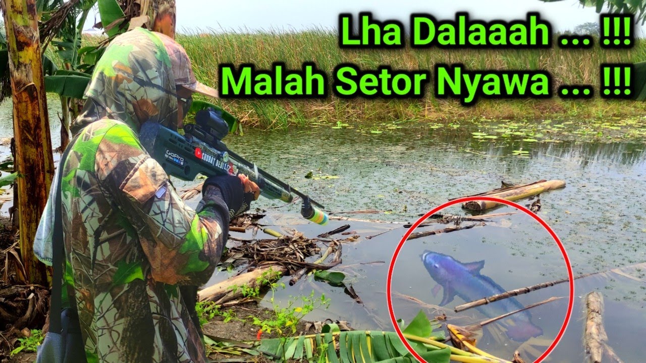 Habis Banjir Mubal Lah Babon | Banjir Membawa Berkah #2